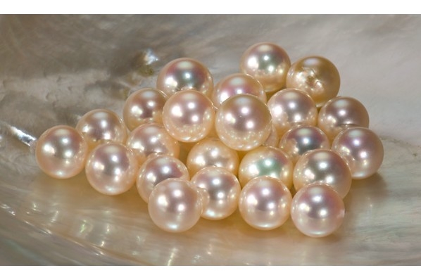 ??申京、祖巴茨、西卡等！誰(shuí)是最佳陣容最大遺珠？