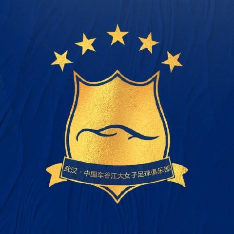 賽季初女超聯(lián)賽實(shí)施限薪、限國腳政策，車(chē)谷江大流失大批優(yōu)秀隊員