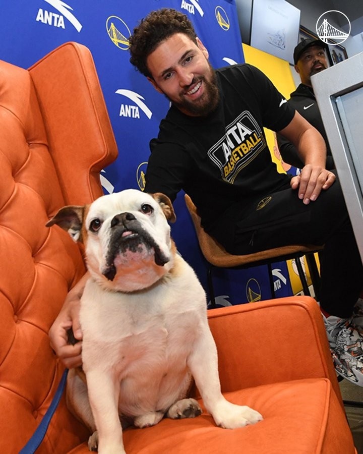 回憶泛起！勇士官方悼念克萊愛(ài)犬Rocco：永遠的勇士國度一分子