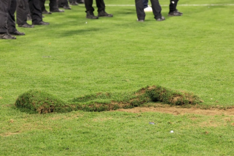 記者：球迷歐冠決賽后破壞安聯(lián)草皮，巴黎將被歐足聯(lián)罰款