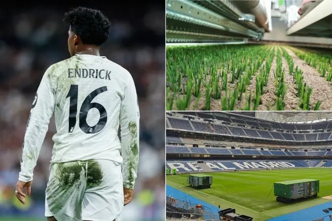 皇馬球衣上的綠色斑點(diǎn)之謎：球場(chǎng)使用無(wú)害綠色油漆，美化草皮接縫