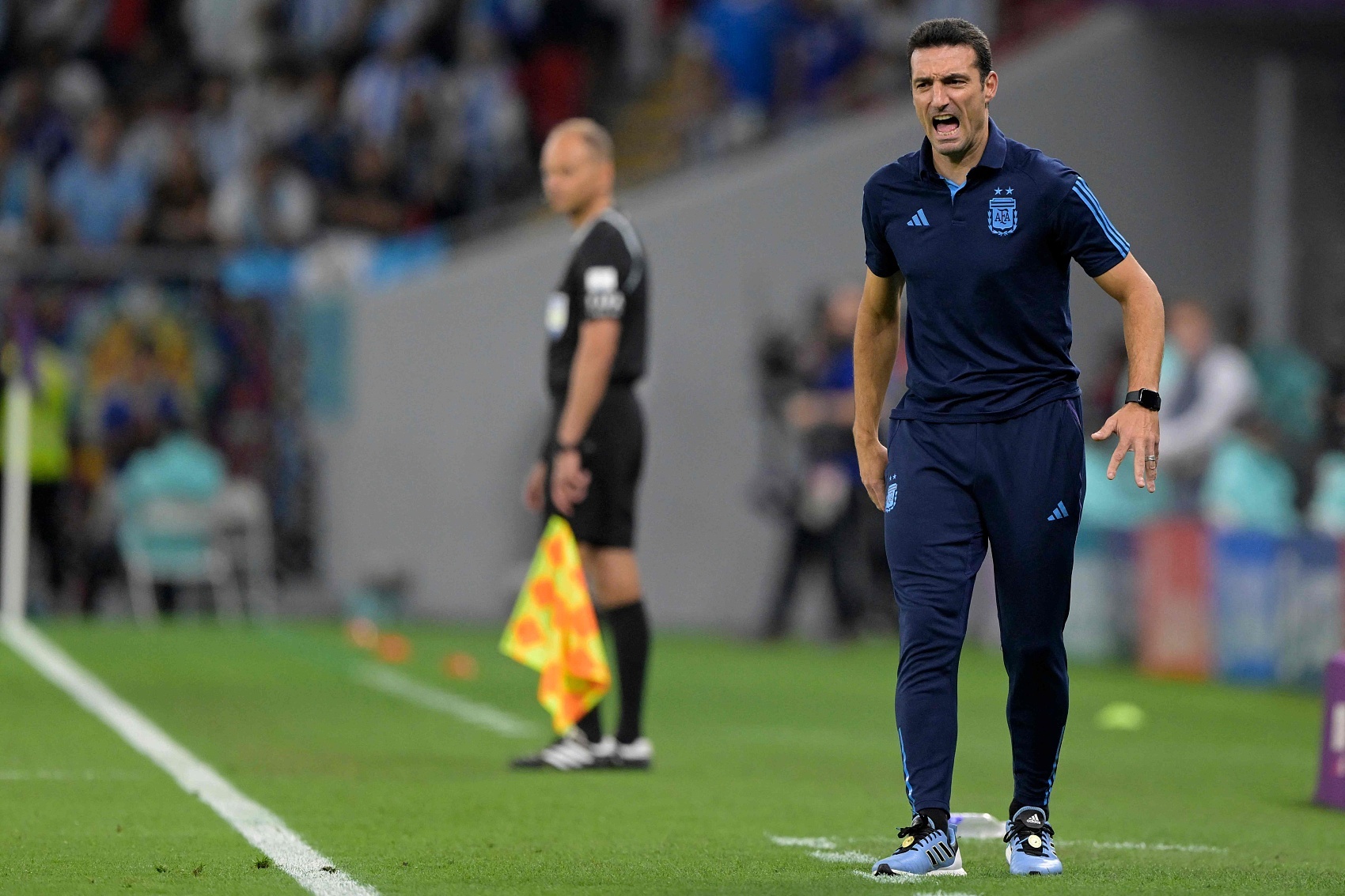 雄鷹展翅！新賽制實(shí)施以來(lái)，阿根廷第4次位居世預賽南美區頭名