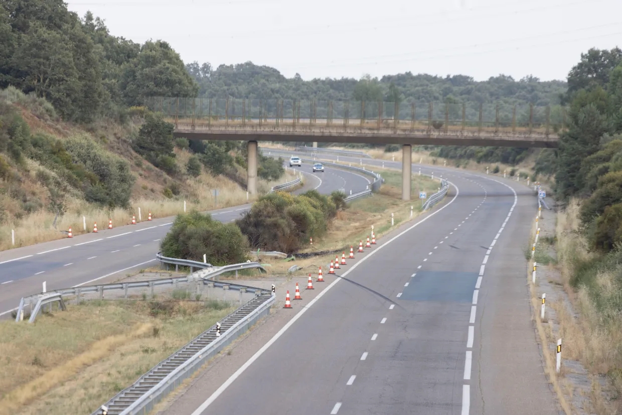 太陽(yáng)報：若塔車(chē)禍地點(diǎn)常有野生動(dòng)物出沒(méi)，這可能是導致事故的原因