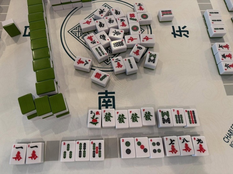 學(xué)習國粹！瓦妮莎打起了麻將 這麻將還是外國特供版