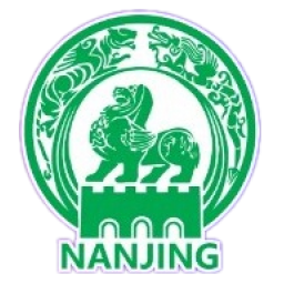 南京隊logo